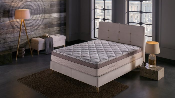 Iq sleep madras