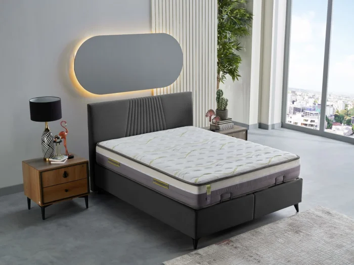 SLEEPWELL ENERGY Madras